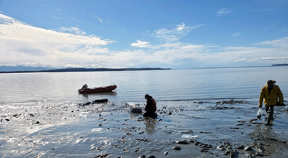 Workers conducting sediment sampling on the beach of Cook Inlet.
